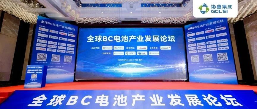 BC领航?碳索未来｜350vip8888新葡的京集团集成出席全球BC电池产业发展论坛